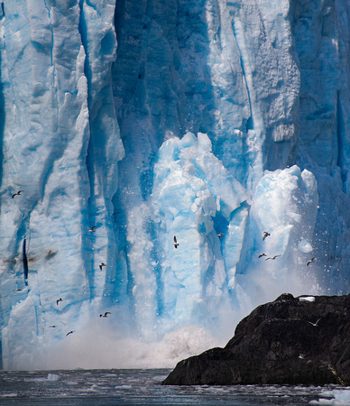 Aialik Glacier calving